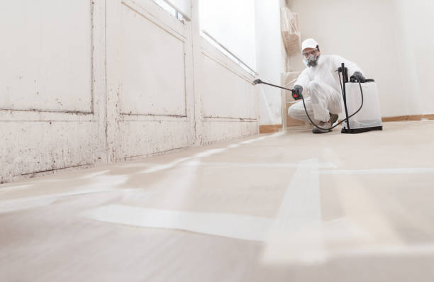 24/7 Emergency Mold Cleanup experts in Fort Hill, PA